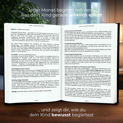 Journal & Ratgeber - First Year – Begleiter für das erste Jahr als Vater